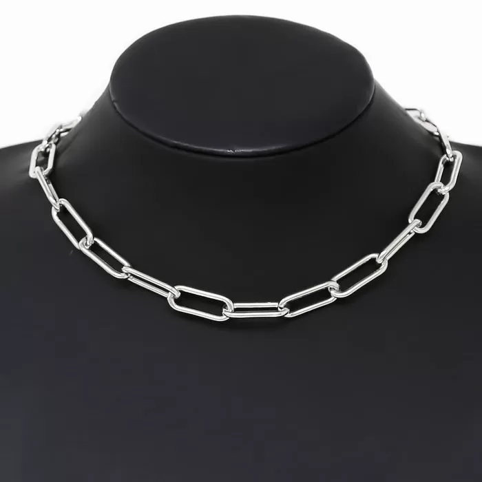 Basic Chain Short Necklace