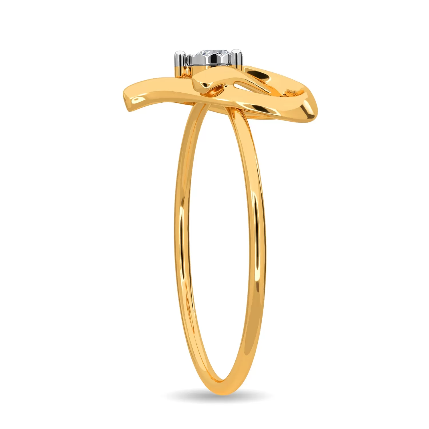 Entwined In Love Ring