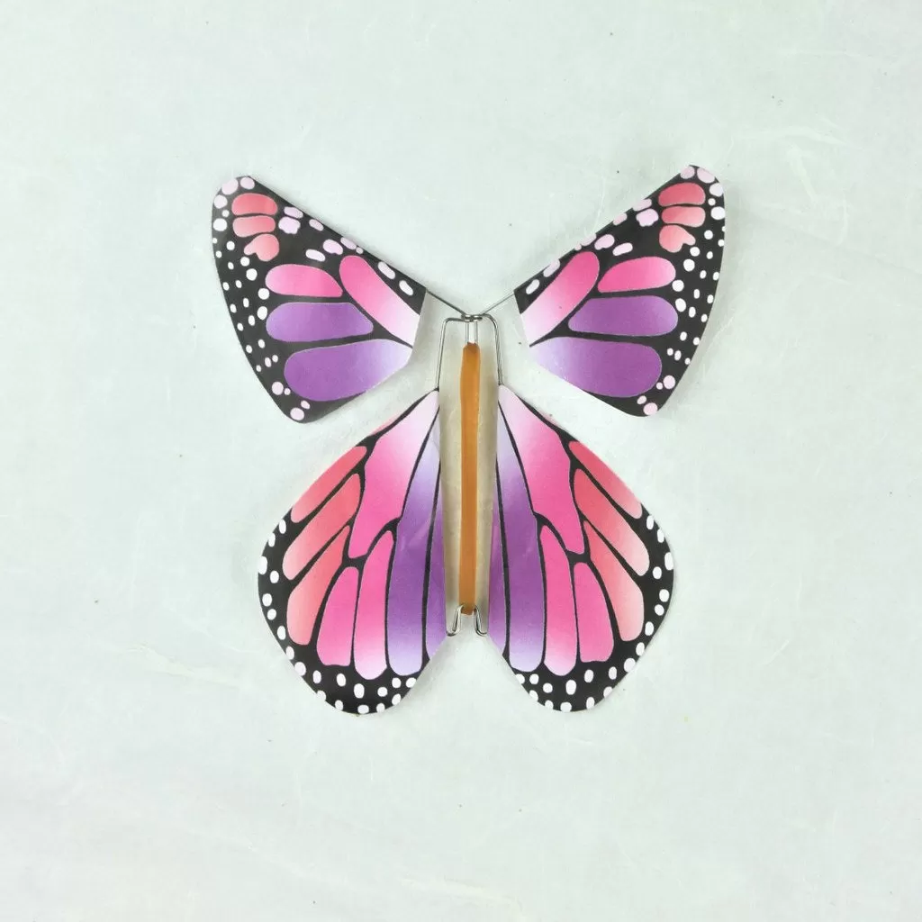 Flying Magic Rainbow Butterfly